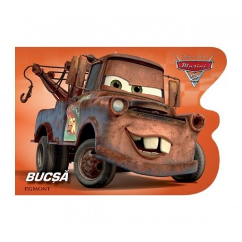 Masini 2 Bucsa.boardbook