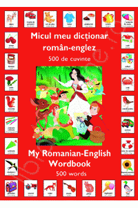 Micul meu dictionar Roman - Englez