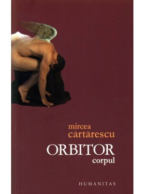 Orbitor. Aripa stanga