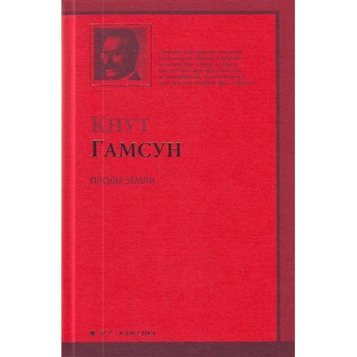 Бухгалтерская финансовая отчетность. Экспресс-курс