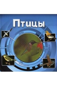 Птицы