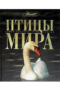 Птицы мира