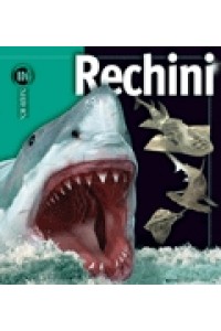 Rechini