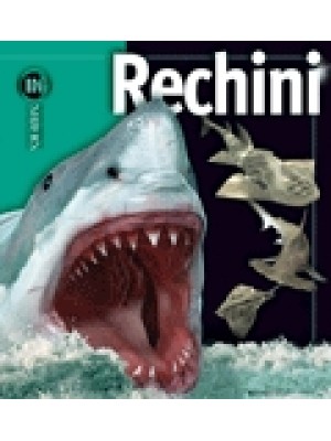 Rechini