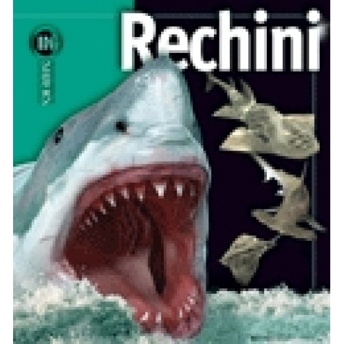 Rechini