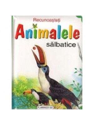 Recunoasteti animalele Tucan