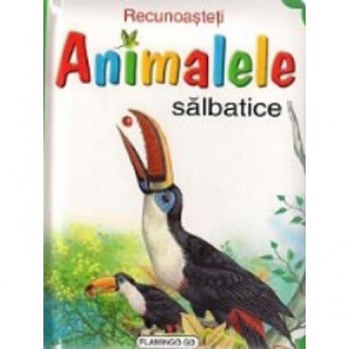 Recunoasteti animalele Tucan