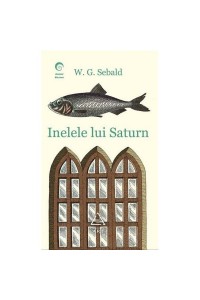 Inelele lui Saturn