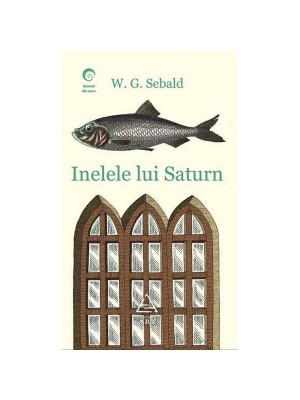 Inelele lui Saturn