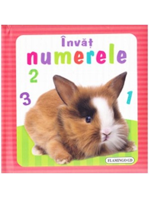 Invat - numerele (buretata)