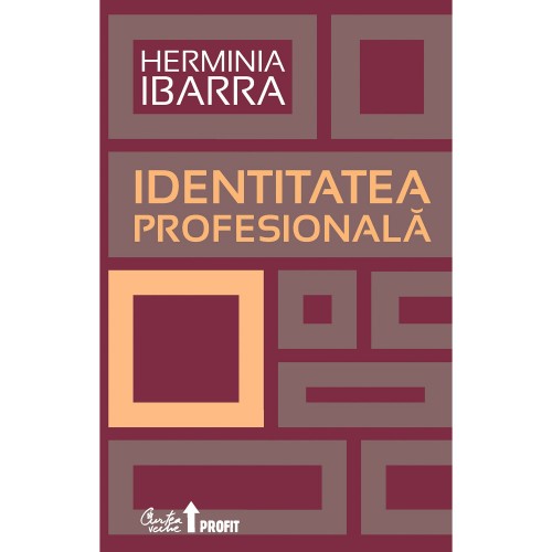 Identitatea profesionala. Strategii neconventionale pentru redefinirea carierei