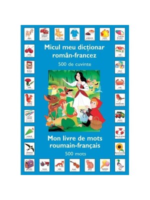 Micul meu dictionar Roman - Francez