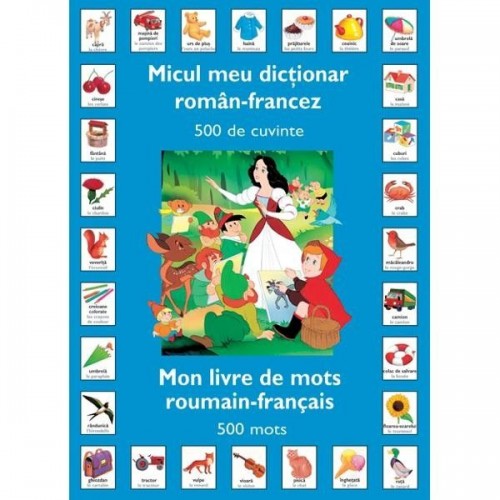 Micul meu dictionar Roman - Francez