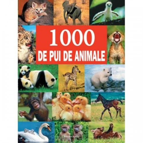 1000 de pui de animale