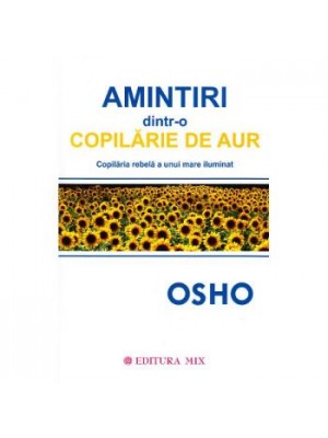 Amintiri dintr-o copilarie de aur