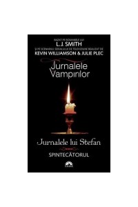 Jurnalele lui Stefan vol. 4  Spintecatorul