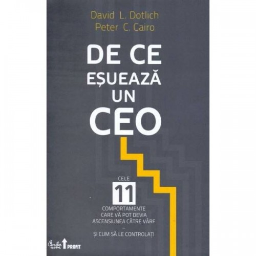 De ce esueaza un CEO