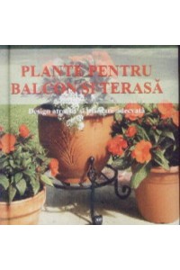 Plante pentru balcon si terasa