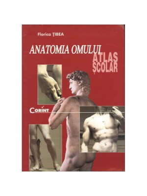 Atlas anatomia omului