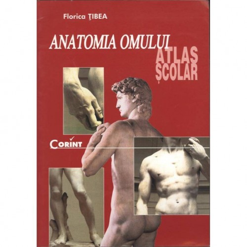 Atlas anatomia omului