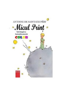 Micul Print