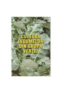 Cultura legumelor din grupa verzei