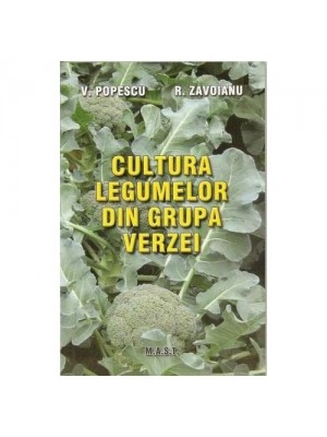 Cultura legumelor din grupa verzei