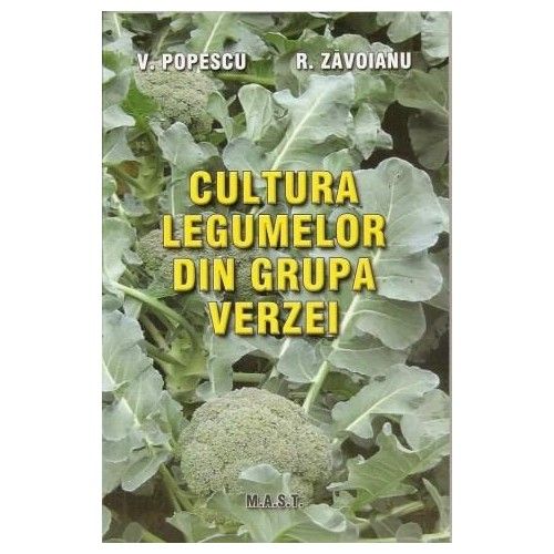 Cultura legumelor din grupa verzei