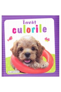 Invat - culorile (buretata)