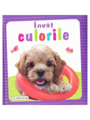 Invat - culorile (buretata)