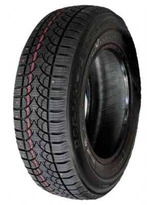 Шины Росава 185/70 R14 WQ-103