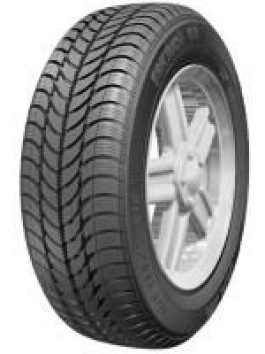 Шины Sava 165/65 R15 Eskimo S3+