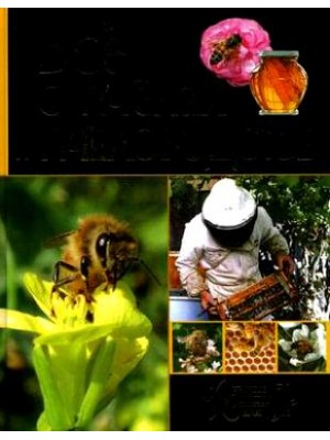 Все о пчелах и пчеловодстве