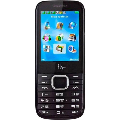 Мобильный телефон Fly TS107 (Black)