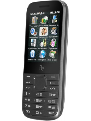 Мобильный телефон Fly TS107 (Silver)