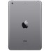 Планшет Apple iPad mini Wi-Fi 16GB Space Gray