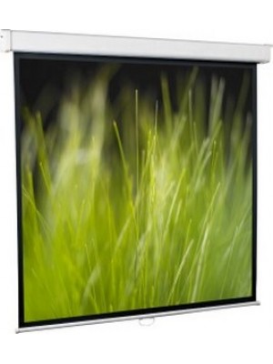 Проекционный экран Redleaf GoldView SGM-1106 (240x240см)