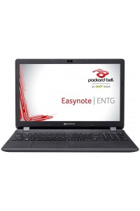 Ноутбук Acer Packard Bell EasyNote ENTG71BM-26V0 (NX.C3UEU.008)