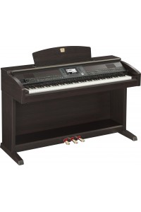 Цифровое пианино Yamaha CVP-503